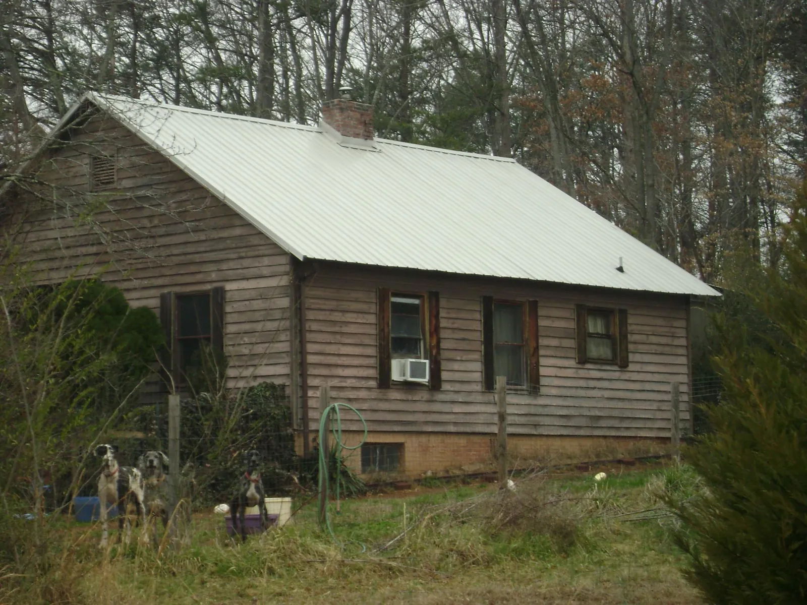 White metal roof on an old wood sided farmhouse, from a Asphalt Shingle Roof Repair job in Mentor